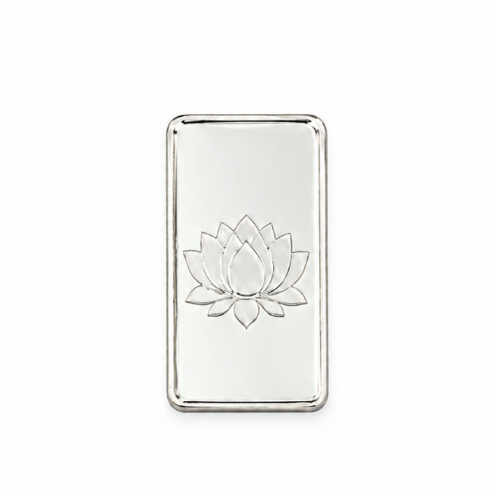 20 Gram Dolphin Silver Bar preview